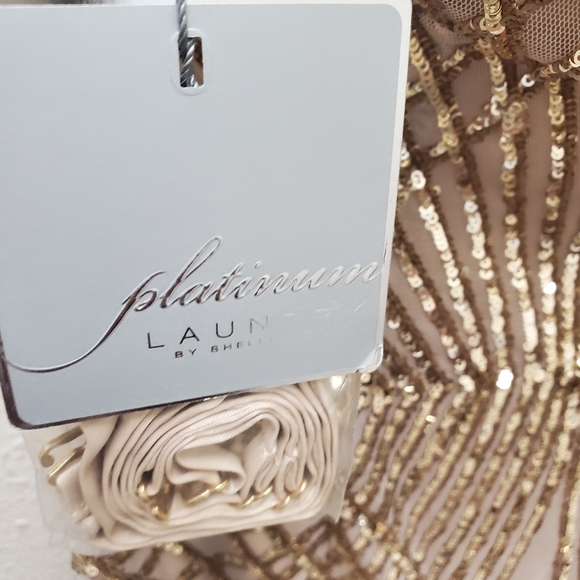 Elegant Champagne Gown - Picture 9 of 9